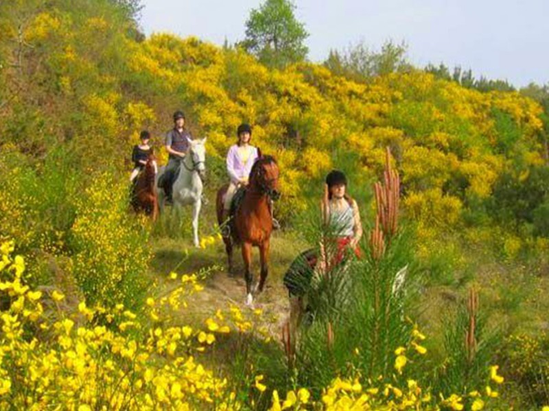 Balade à cheval Ferret et Arcachon