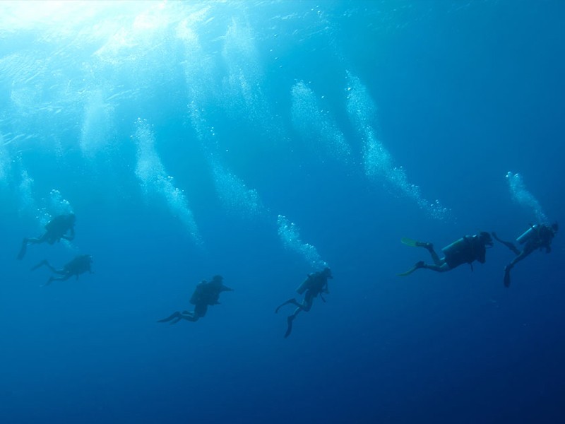 Plongée sous-marine Cap-Ferret et Arcachon